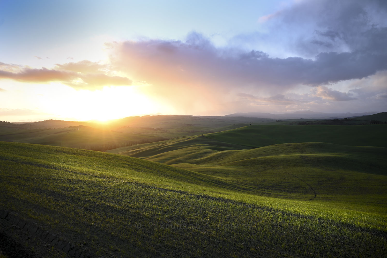 The Green Val d'Orcia 2023